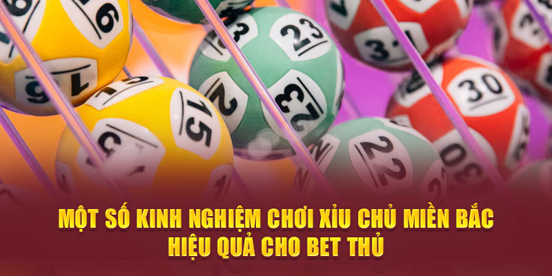 Một số kinh nghiệm chơi xỉu chủ Miền Bắc hiệu quả cho bet thủ