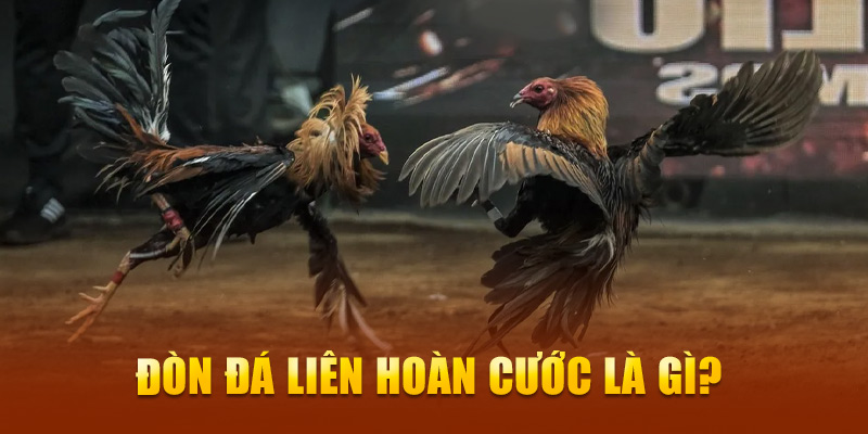 Đòn đá liên hoàn cước là gì? 