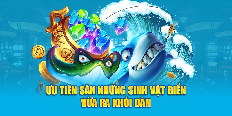 Ưu tiên săn những sinh vật biển vừa ra khỏi đàn 